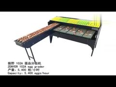 máquina de classificação de ovos