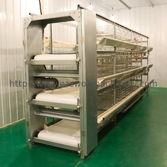 A camada automática de aço da galinha do equipamento de exploração avícola Q235 prende para galinhas poedeiras