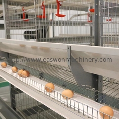 A camada automática de aço da galinha do equipamento de exploração avícola Q235 prende para galinhas poedeiras