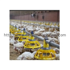 Galinha de alimentação automática da produção animal de controle ambiental/equipamento de exploração avícola