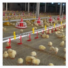 Equipamento de exploração avícola automático da capoeira de galinha com sistema de ventilação