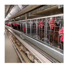 Tipo sistema automático de H da gaiola da camada do ovo da galinha da bateria do equipamento de cultivo das aves domésticas da camada